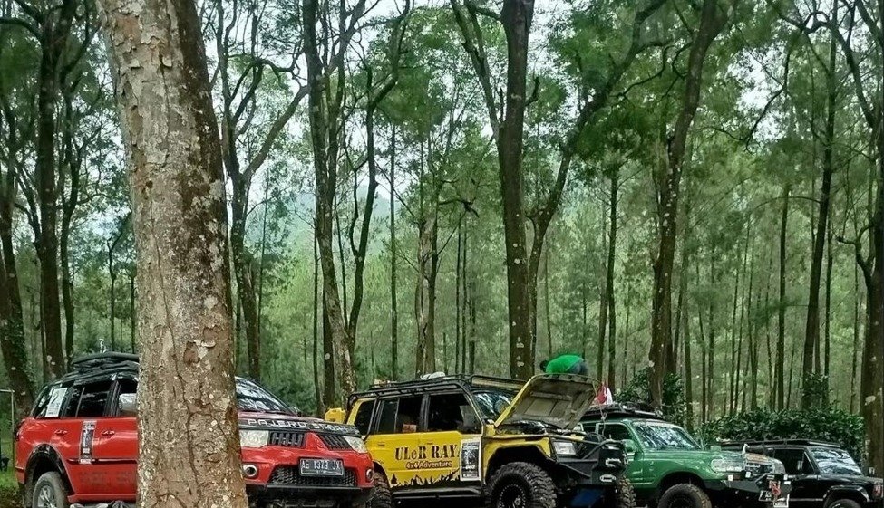 Pesona Keindahan Segawen Park Lereng Gunung Lawu Wilayah Ngawi Menarik Komunitas Petualang