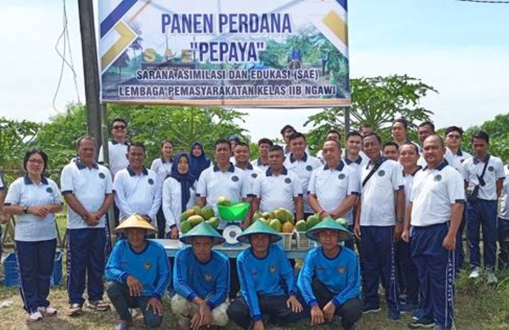 Panen Perdana Buah Pepaya di SAE Benteng Van Den Bosch Warga Binaan Lapas Kelas II B Ngawi.